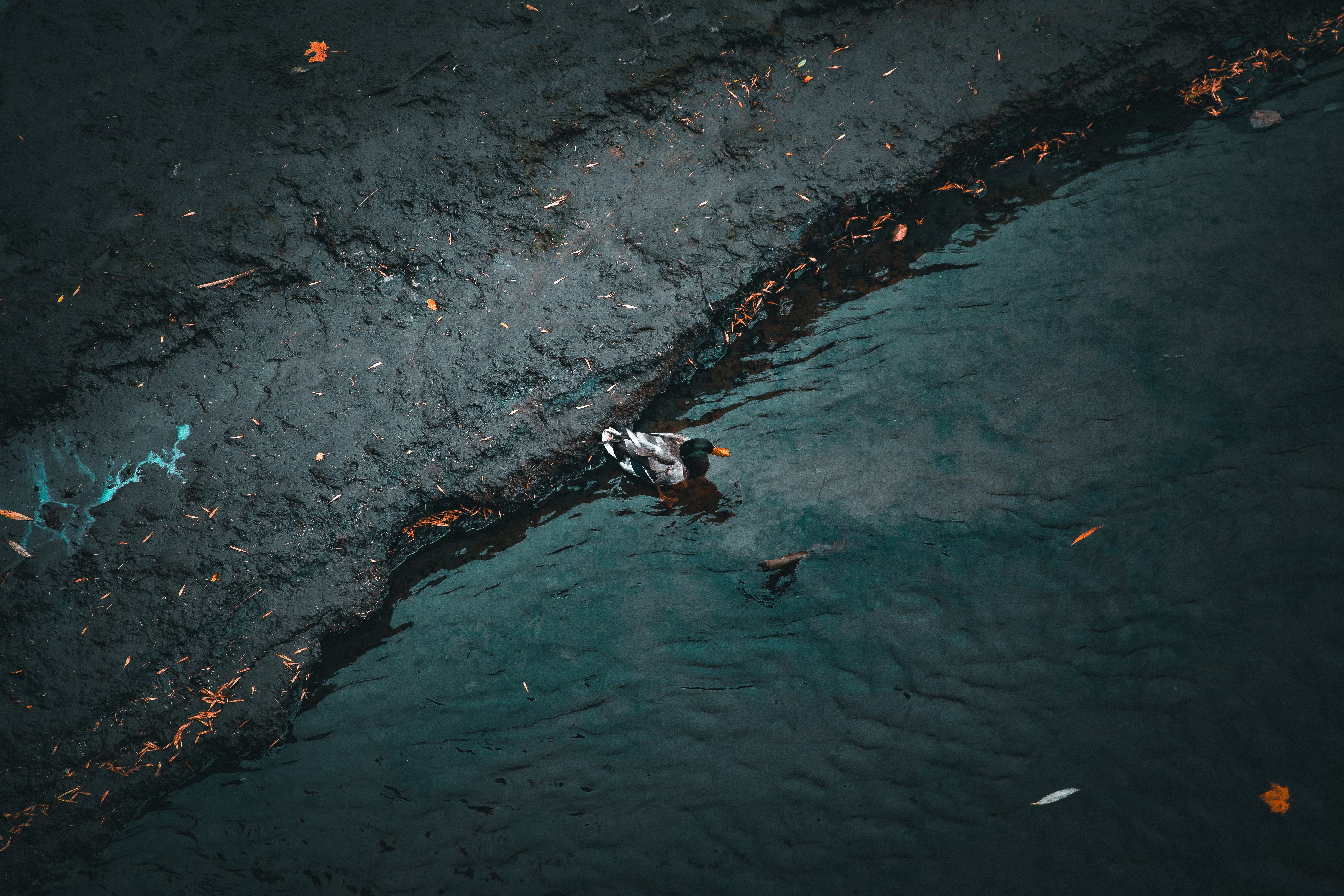 Water Pollution in Middle East